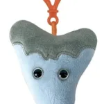 GIANTmicrobes Megalodon Tooth Keychain