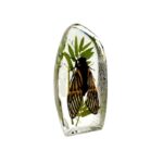 Real Tigroid Cicada Asymmetrical Paperweight