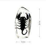 Real  Black Scorpion Oval Paperweight