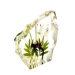 Real Dragonfly Asymmetrical Paperweight