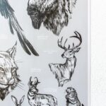 Oklahoma Wildlife Educational Chart
