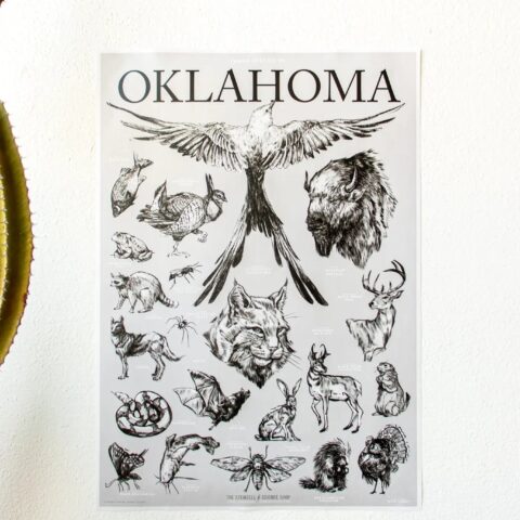 Oklahoma Wildlife Educational Chart