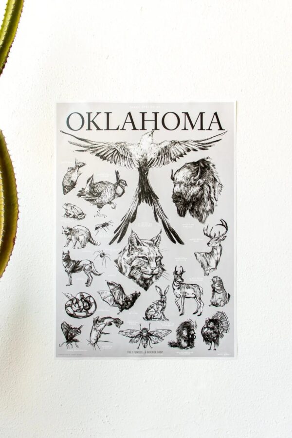 Oklahoma Wildlife Educational Chart