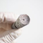 Orthocone Fossil