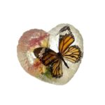 Real Butterfly in Acrylic Heart