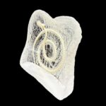 Real Snake Skeleton in Acrylic – Textured