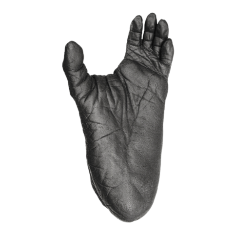 Replica Lowland Gorilla Left Foot - Female