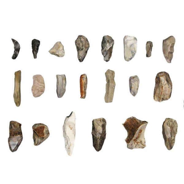 Replica Neanderthal Mousterian Industry Tools – Set of 21