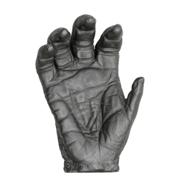 Replica Lowland Gorilla Right Hand – Female