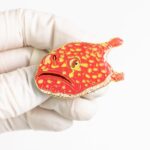 Abe’s Deepsea Toad Enamel Pin (Chaunax abei)