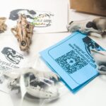Gray Wolf Skull Replica – 1:6 Scale