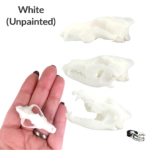 Gray Wolf Skull Replica – 1:6 Scale
