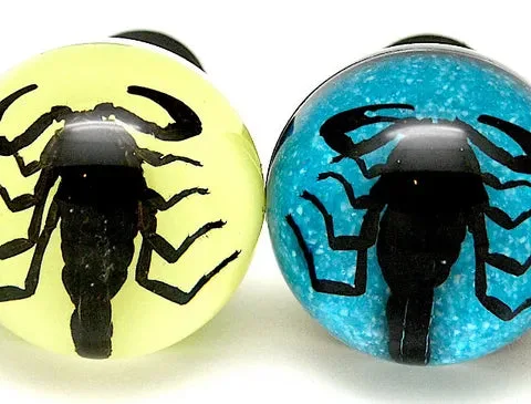 Real Black Scorpion in Acrylic Wine Stopper