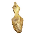 Replica T. Rex Brain