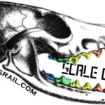 Human Pelvis Bone Replica