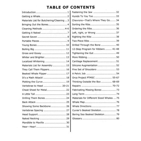 The Whale Building Book (Vol. 3)