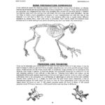 Bone Builder’s Notebook (Vol. 10)