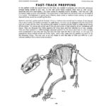 Bone Builder’s Notebook (Vol. 10)