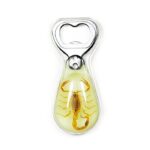 Real Golden Scorpion in Acrylic Bottle Opener