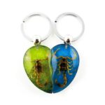 Real Scorpion Friendship Keychain in Acrylic – Single