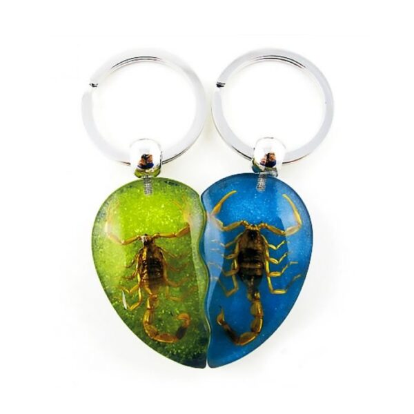 Real Scorpion Friendship Keychain in Acrylic – Single