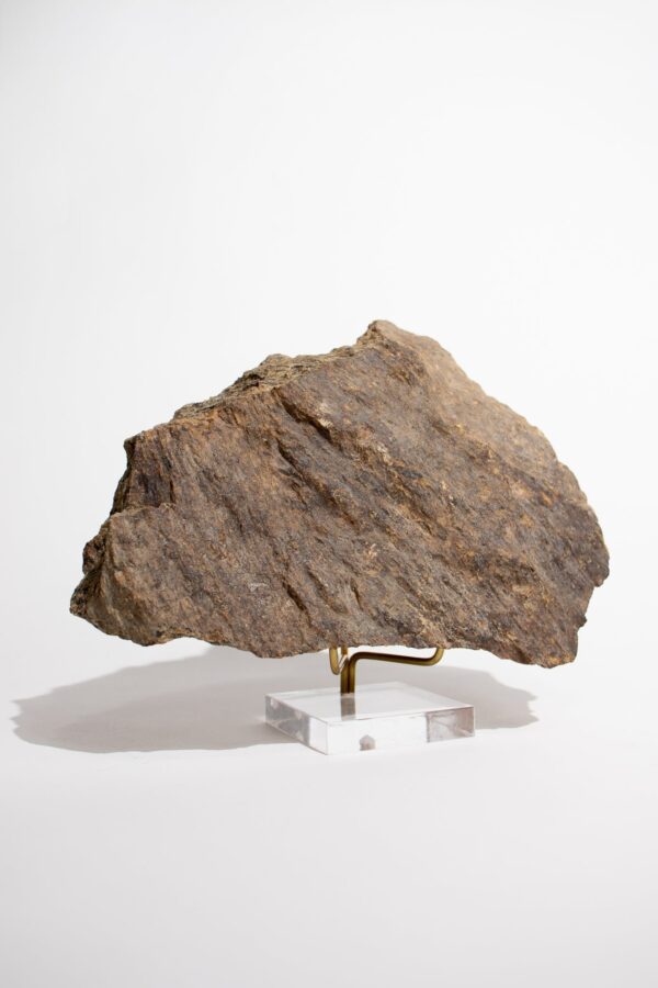 Shatter Cone Geological Specimen