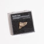 Shatter Cone Geological Specimen