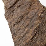 Shatter Cone Geological Specimen
