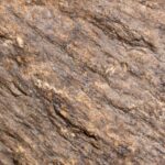 Shatter Cone Geological Specimen