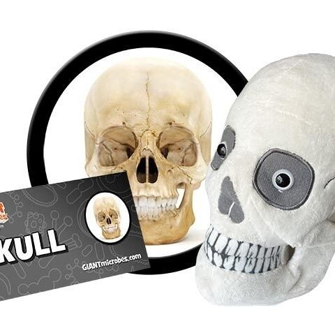GIANTmicrobes Skull Plush