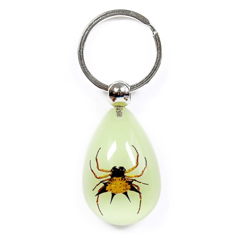 Real Acrylic Spiny Spider Keychain