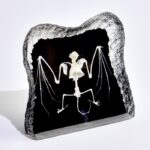 Real Bat Skeleton in Acrylic – Black Background