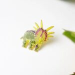 Styracosaurus Enamel Pin (Styracosaurus albertensis)
