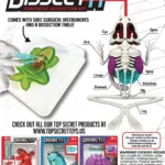DISSECT IT – Frog Lab