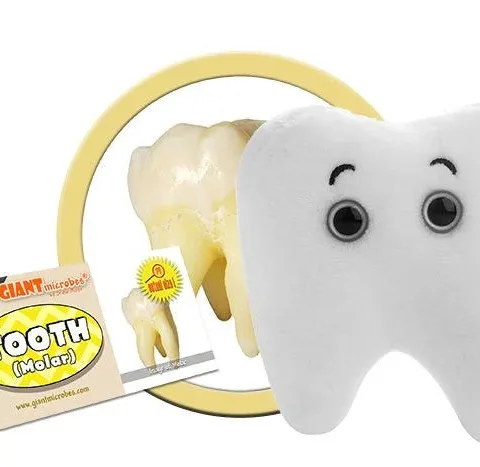 GIANTmicrobes Tooth Plush