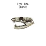 Emerald Tree Boa Snake Skull Replica