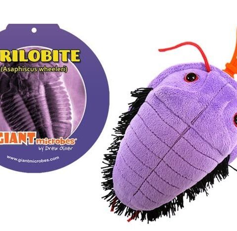 GIANTmicrobes Trilobite Keychain