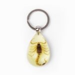 Real Golden Scorpion in Acrylic Keychain